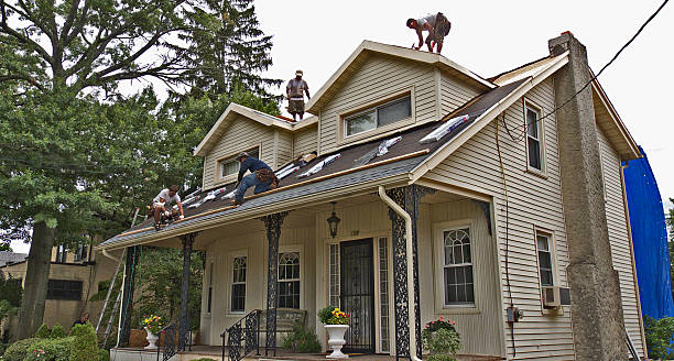 Best Storm Damage Roof Repair  in Forest Glen, MD